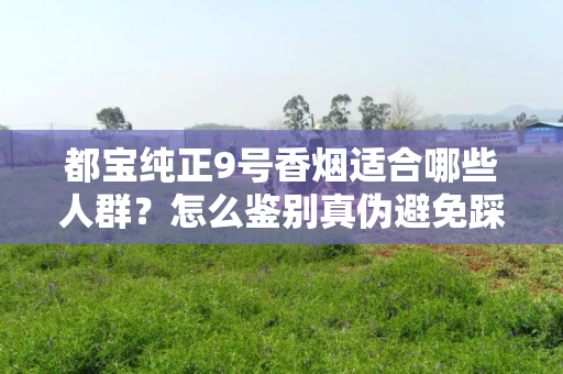 都宝纯正9号香烟适合哪些人群？怎么鉴别真伪避免踩坑？